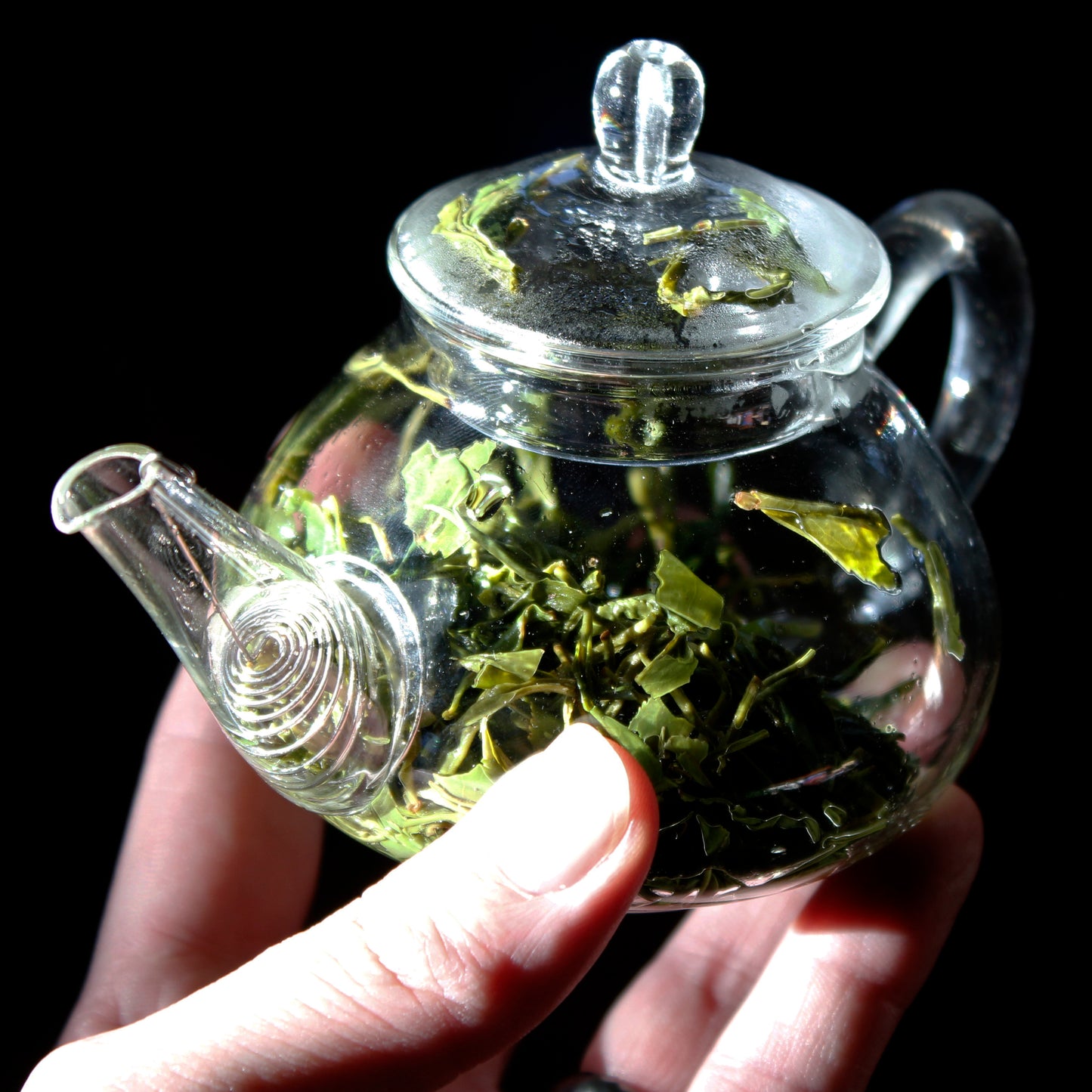 Canon Teapot - 8 oz