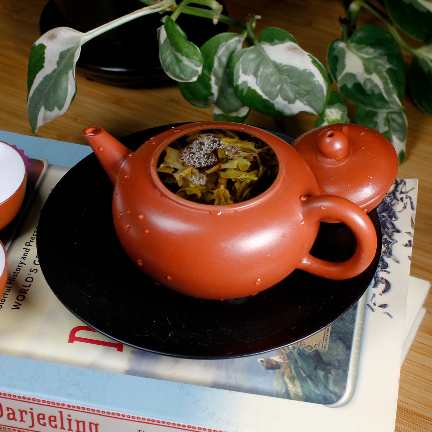 Darjeeling 1st Flush: Risheehat Estate - steeping
