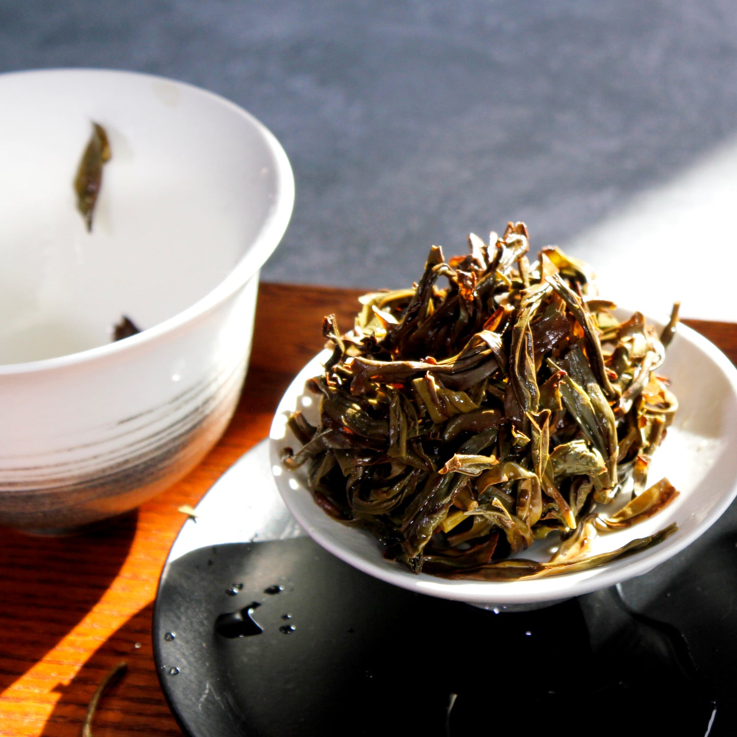 Fujian Honey Orchid - wet leaves
