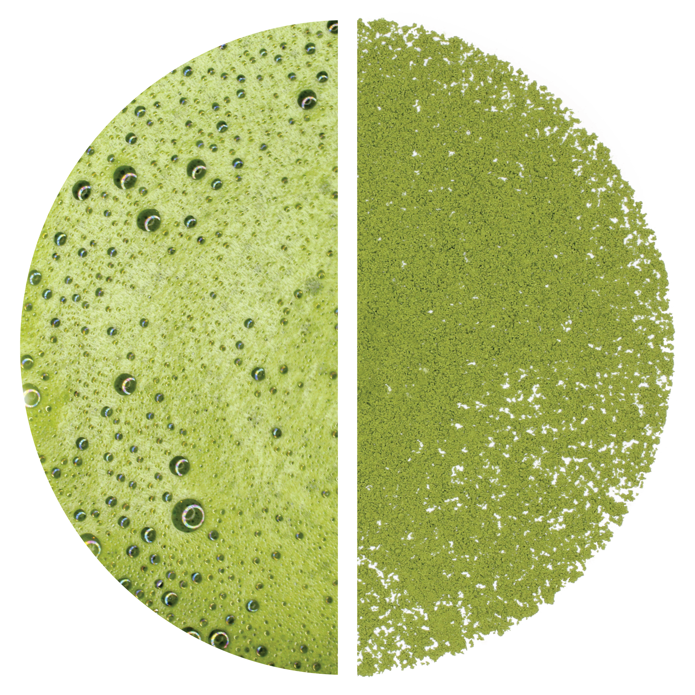 Matcha: Gabaron (Marukyu Koyamaen) - 40 g Tin – MEM TEA