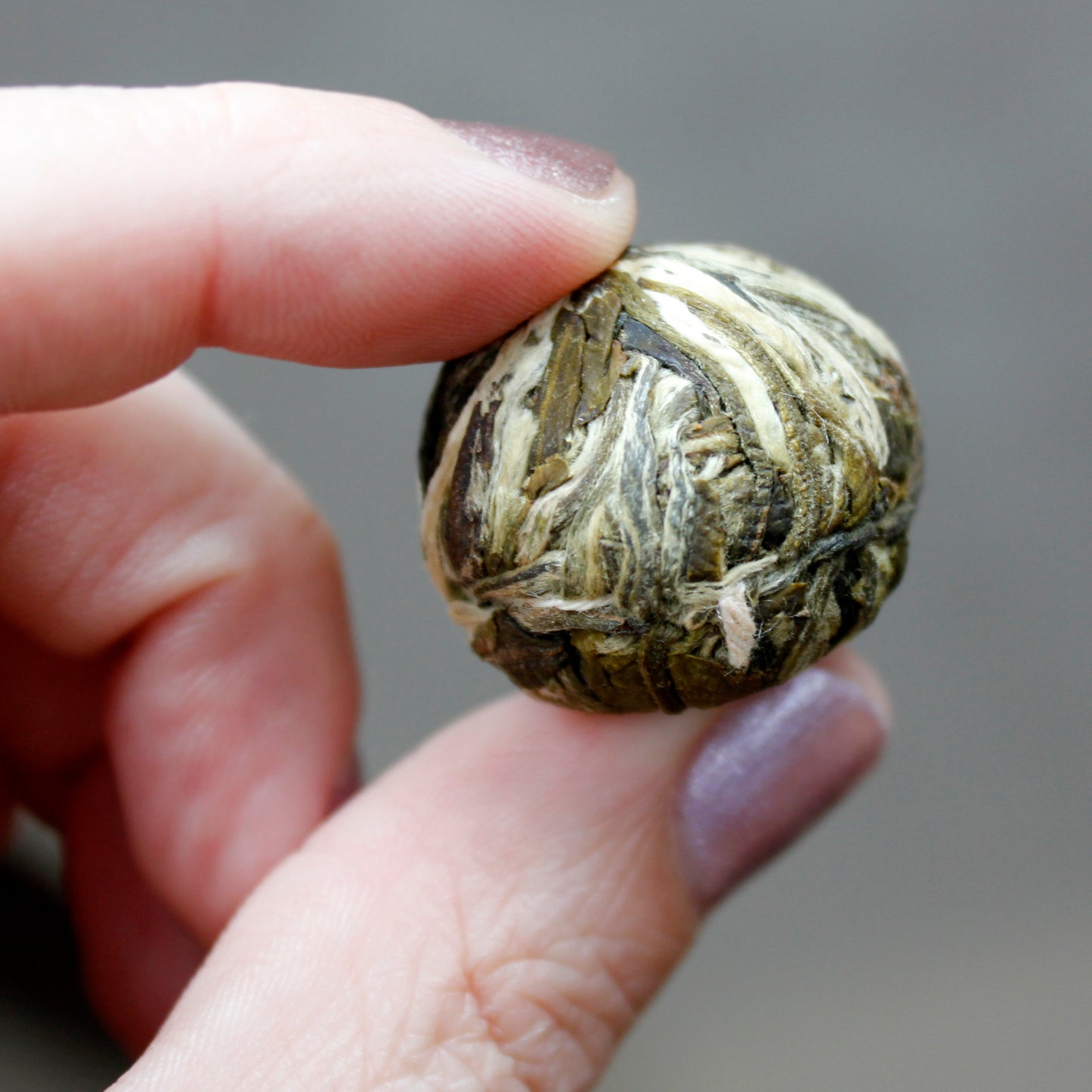 Jasmine Flowering Buds