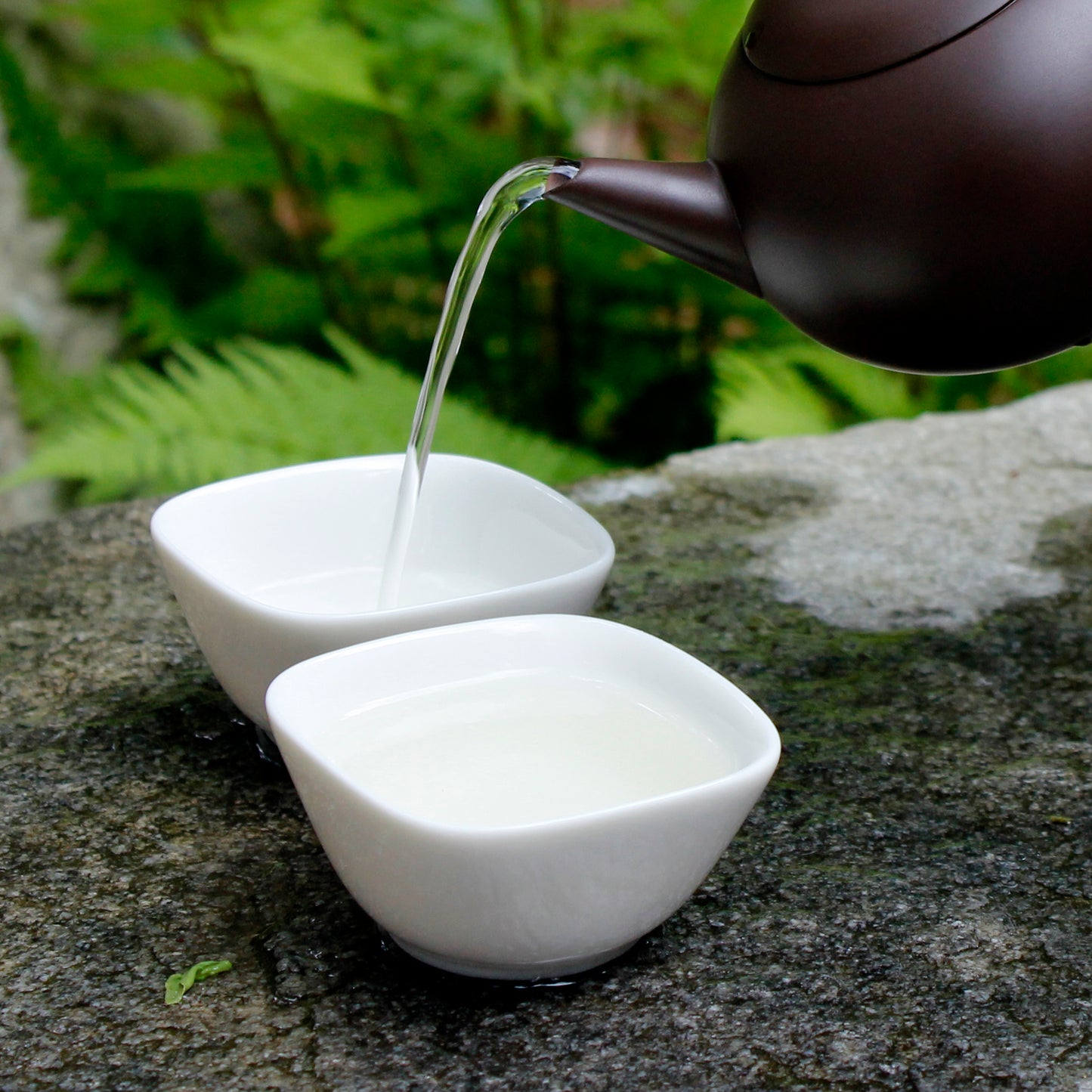Modern Teacups - 1.35 oz (Set of 2)