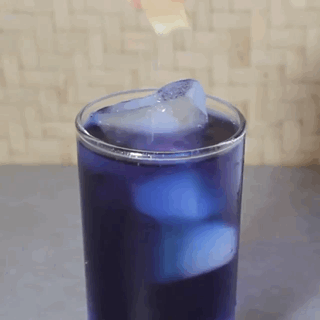 Peaflower Blossom - gif