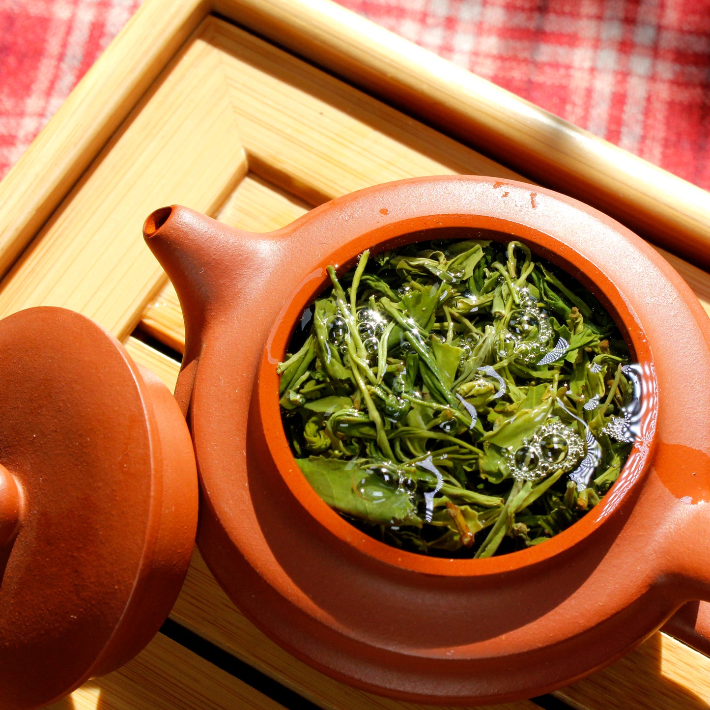 Pine Needle Green - steeping