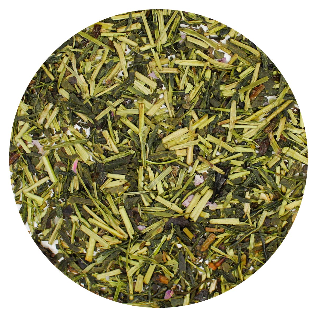 Sencha: Sakura