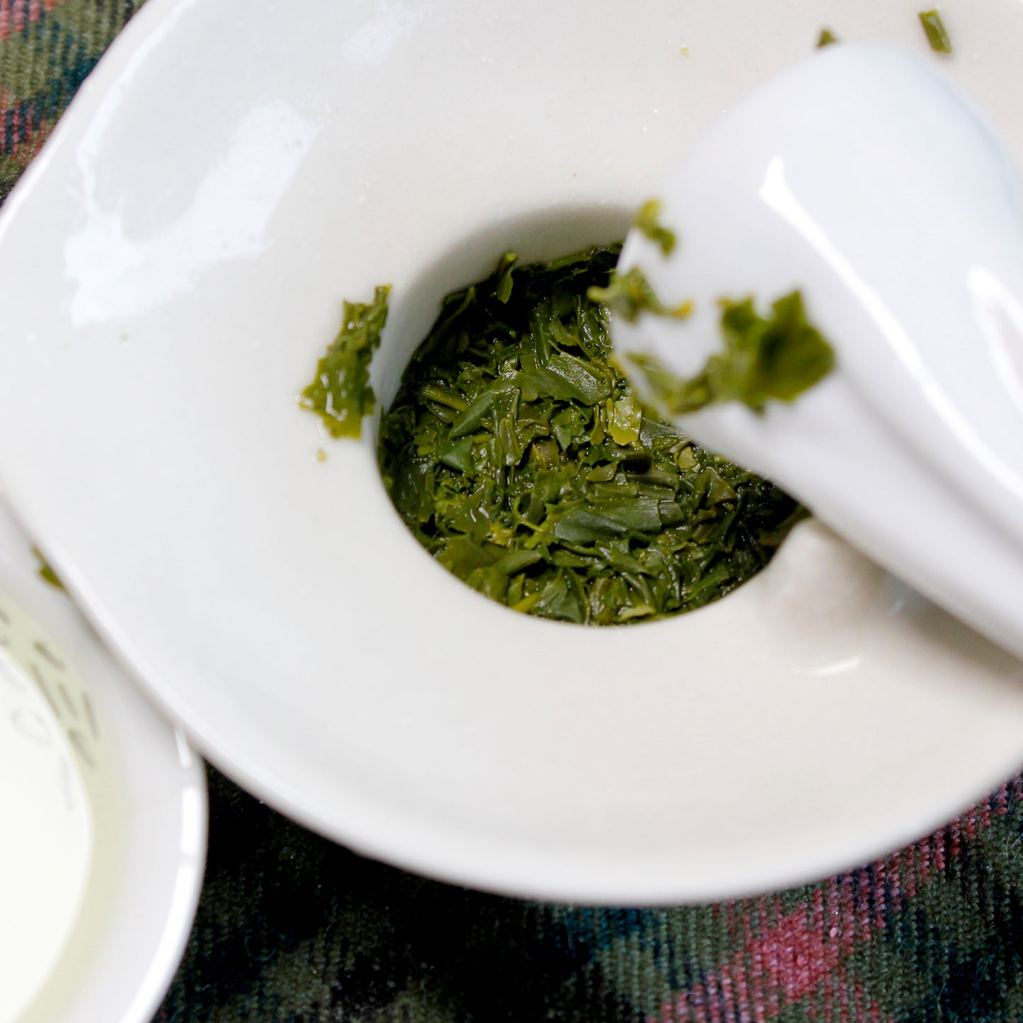 Sencha: Shizu