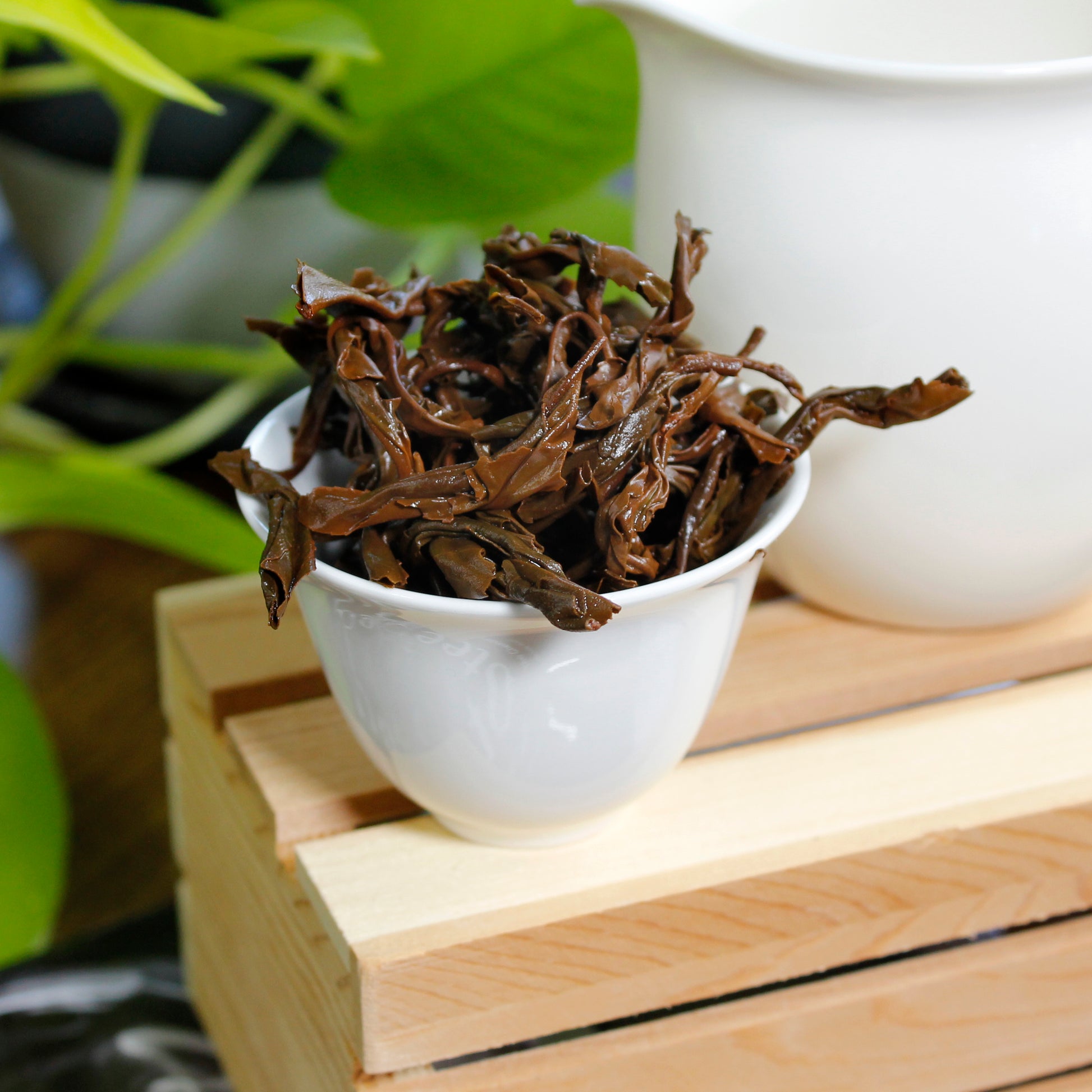 Taiwanese Breakfast - wet leaves