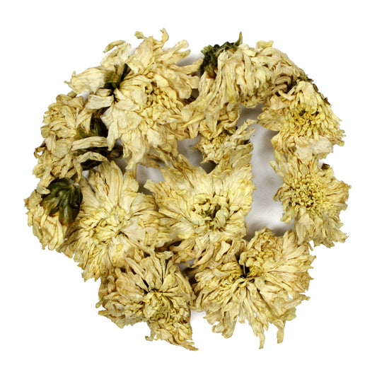 White Chrysanthemum Flowers