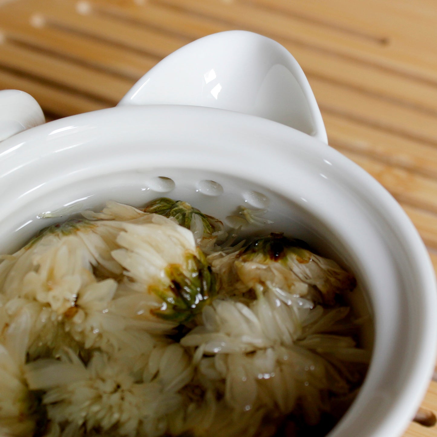 White Chrysanthemum Flowers