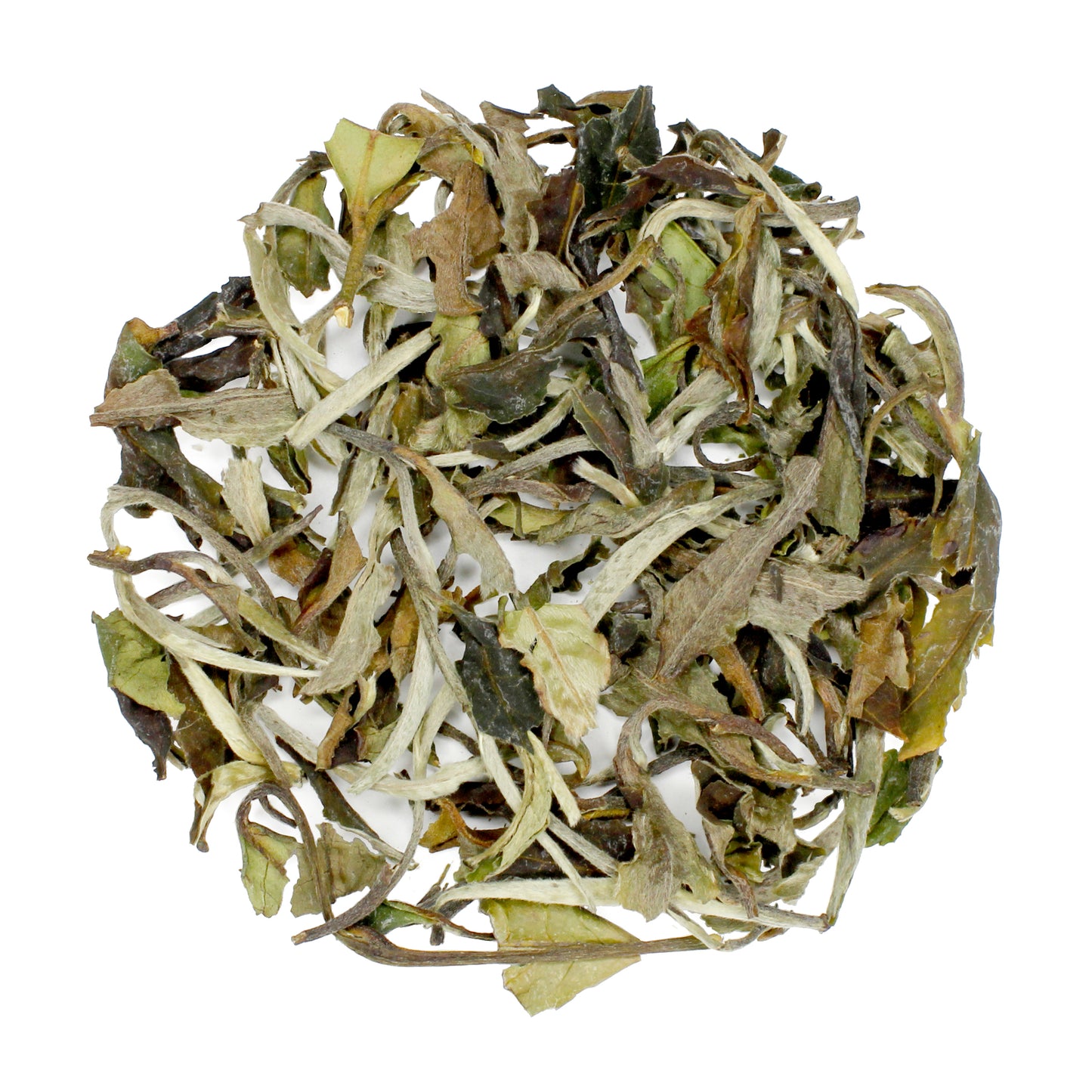 White Peony: Bai Mu Dan - product