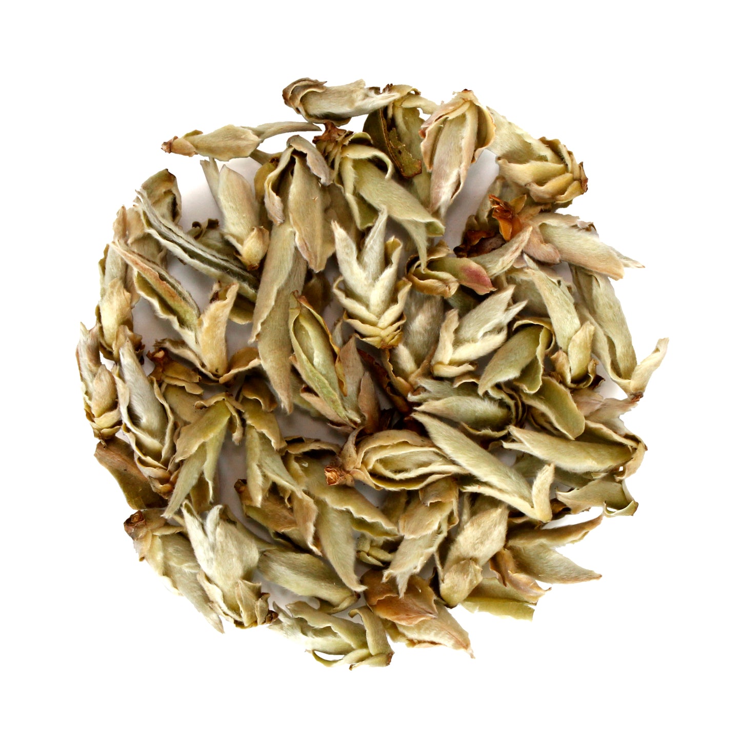 White Wild Tea Buds