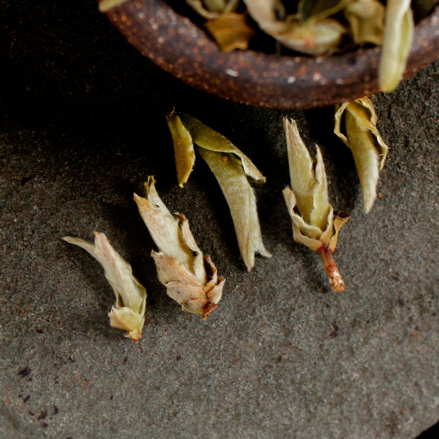 White Wild Tea Buds