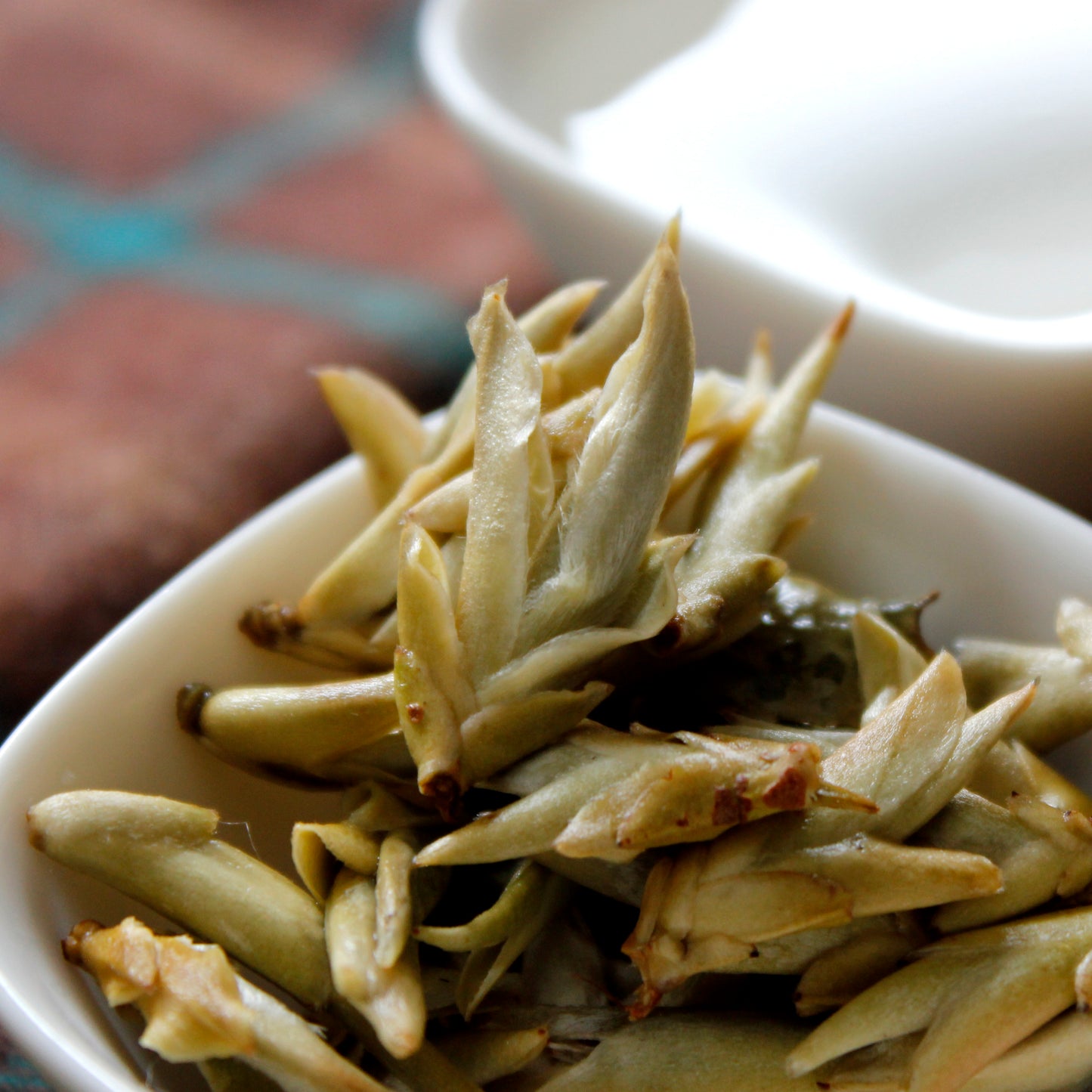 White Wild Tea Buds
