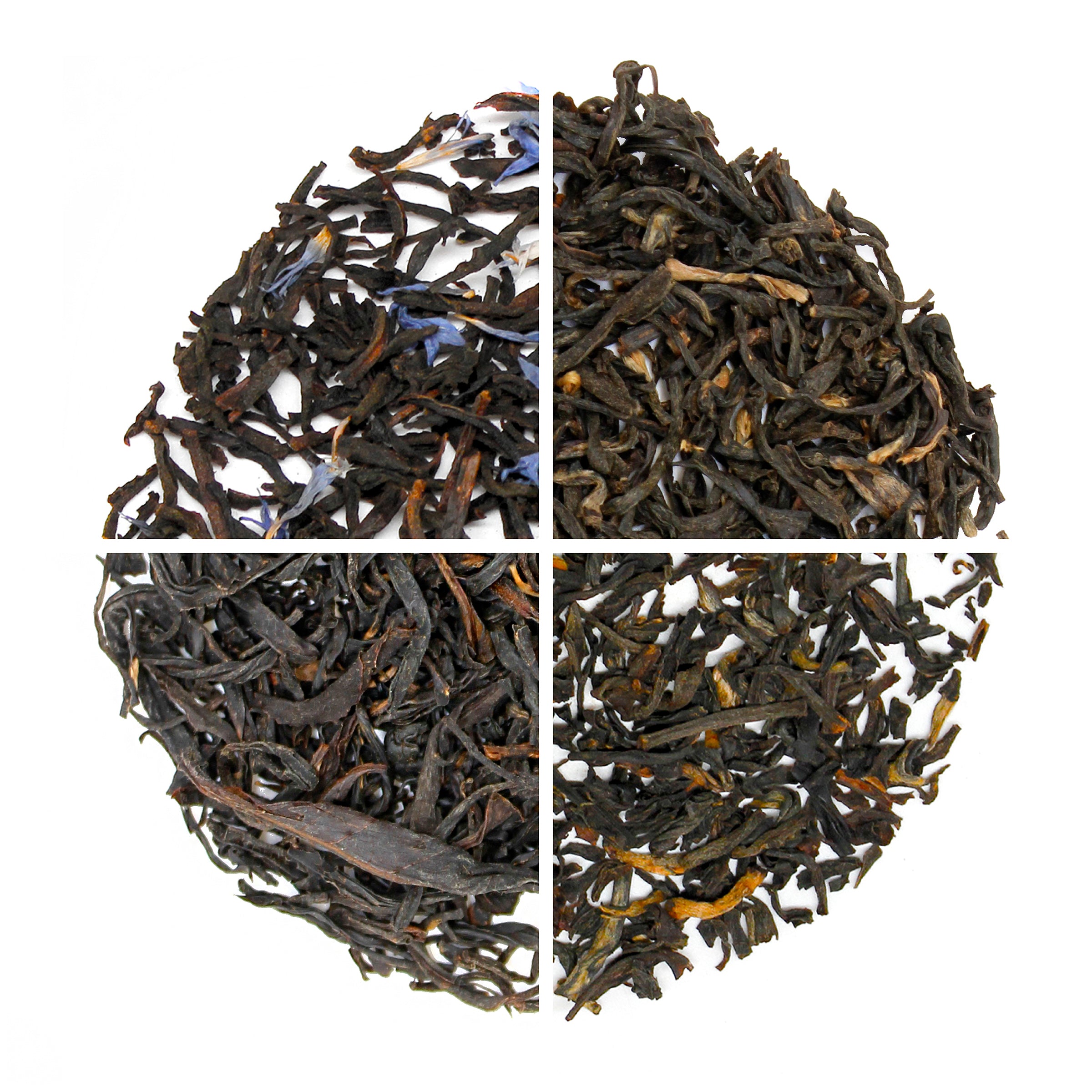 Tema Sampler SAMPLERS – MEM TEA