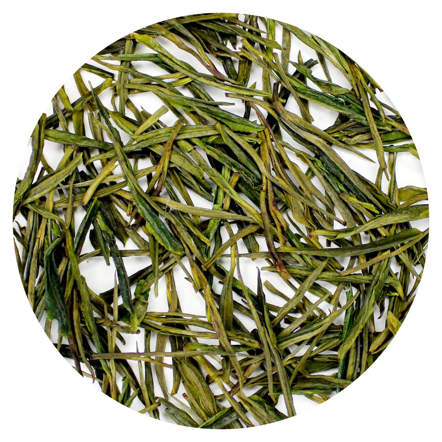 Anji Bai Cha