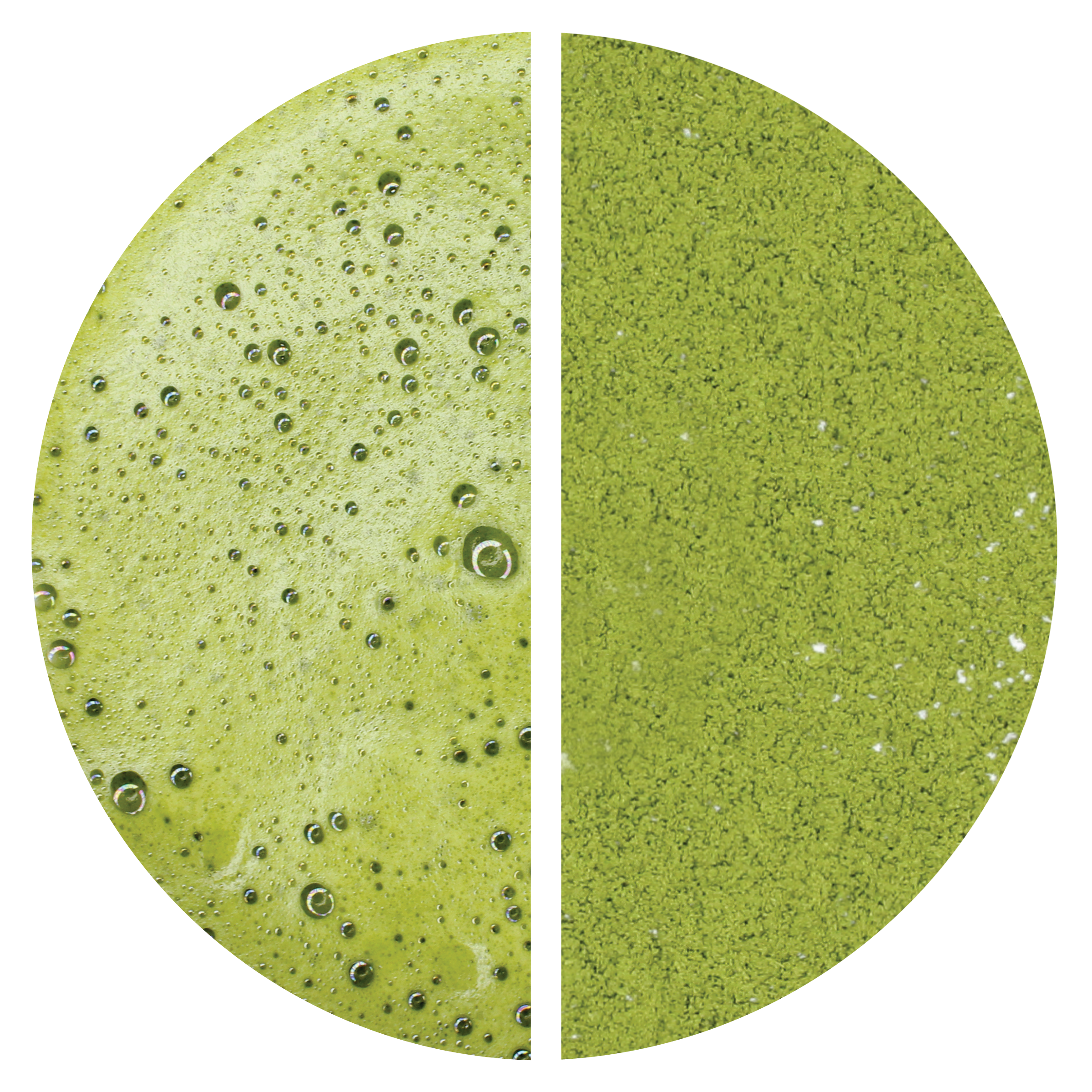 Matcha: Premium (Marukyu Koyamaen - Byakuren)