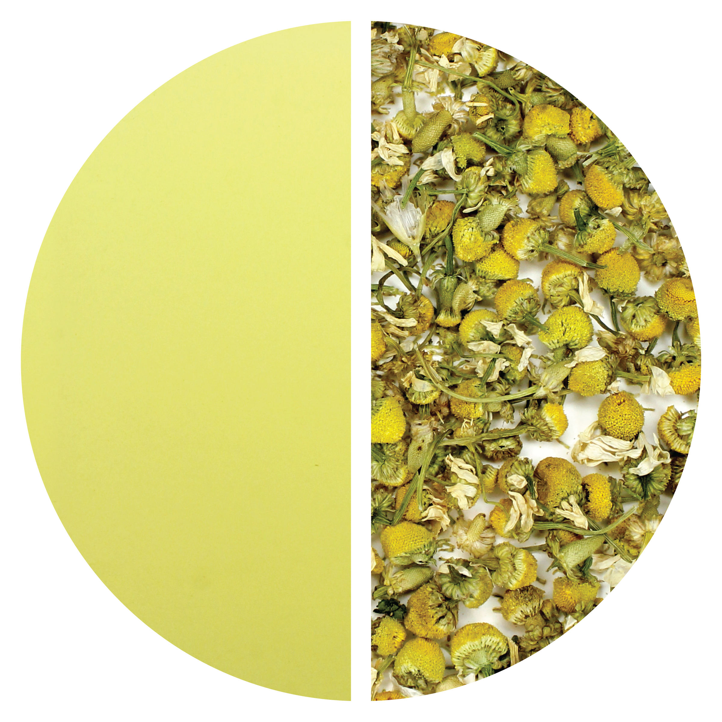 Chamomile Flowers