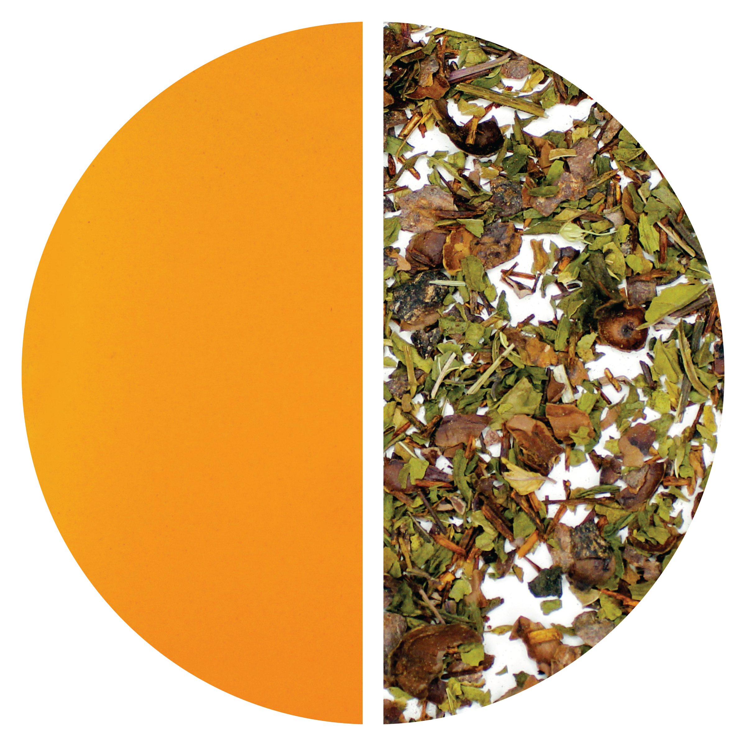Cocoa Mint