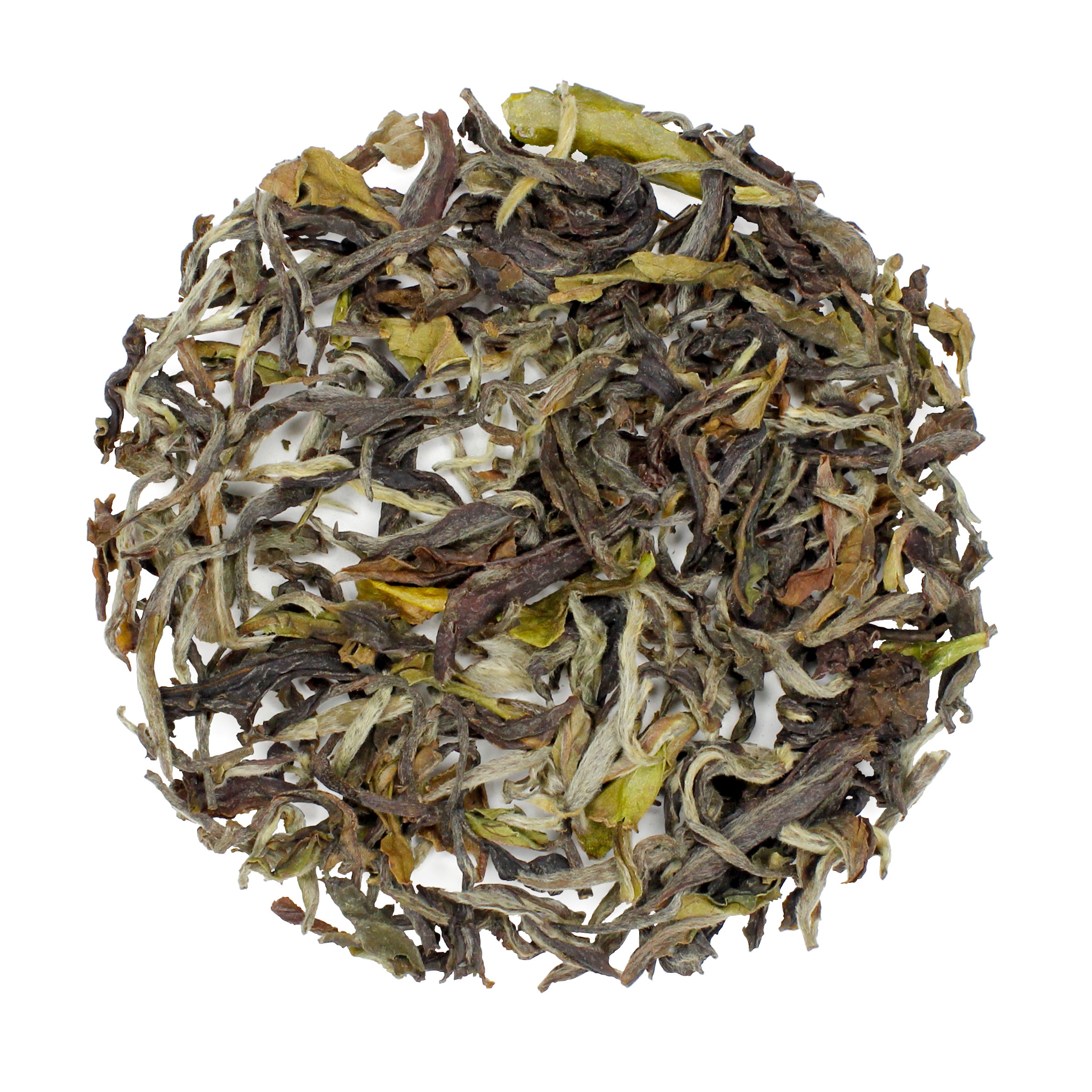 darjeeling-1st-flush-gopaldhara-estate-black-whole-leaf-loose-tea-2024.jpg?v\u003d1718032324\u0026width\u003d533