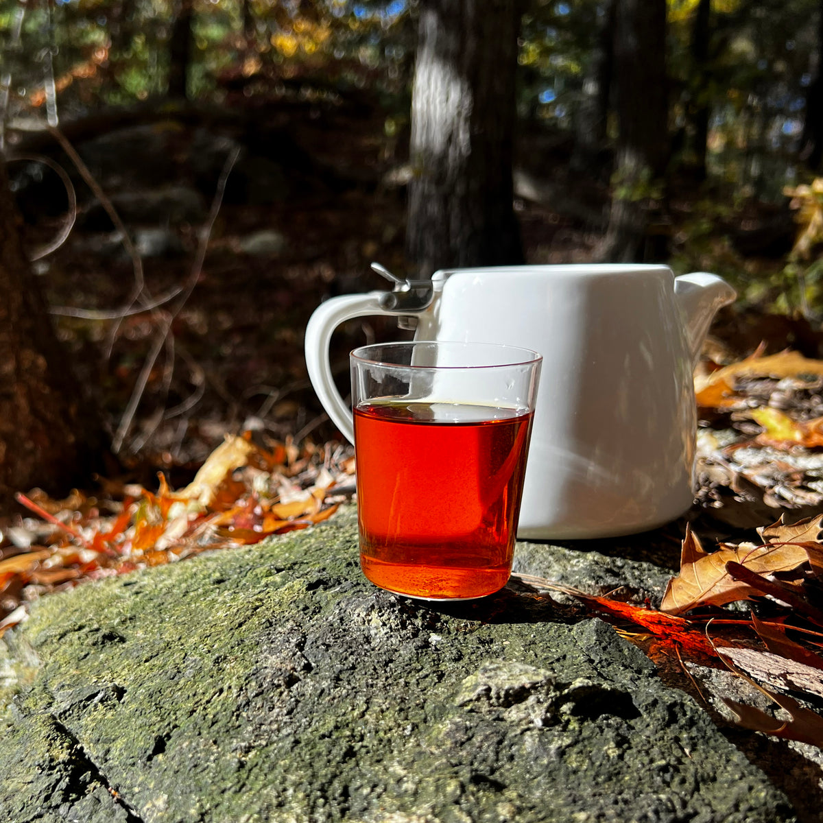 Darjeeling 2nd Flush: Jungpana Estate