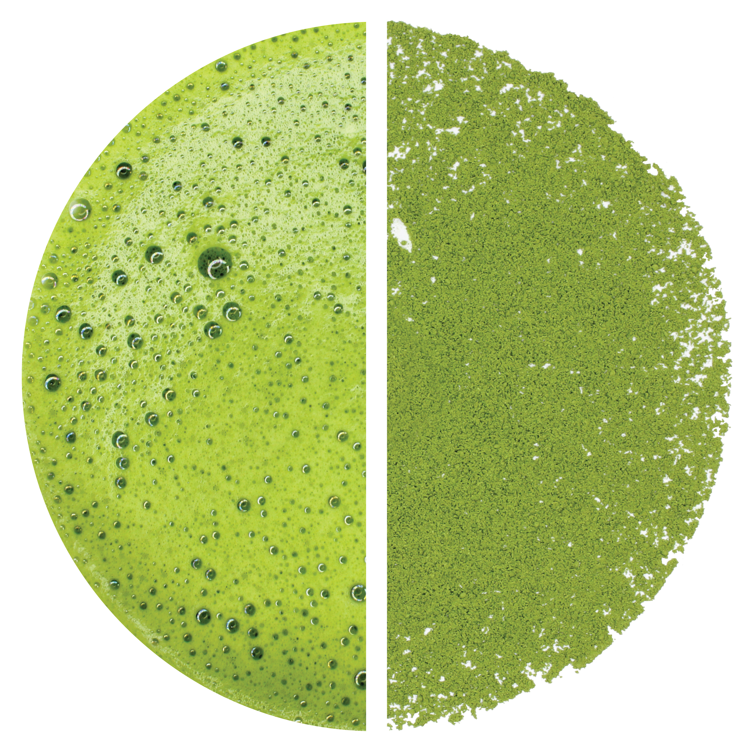 Matcha: Isuzu (Marukyu Koyamaen) - 40 g Tin