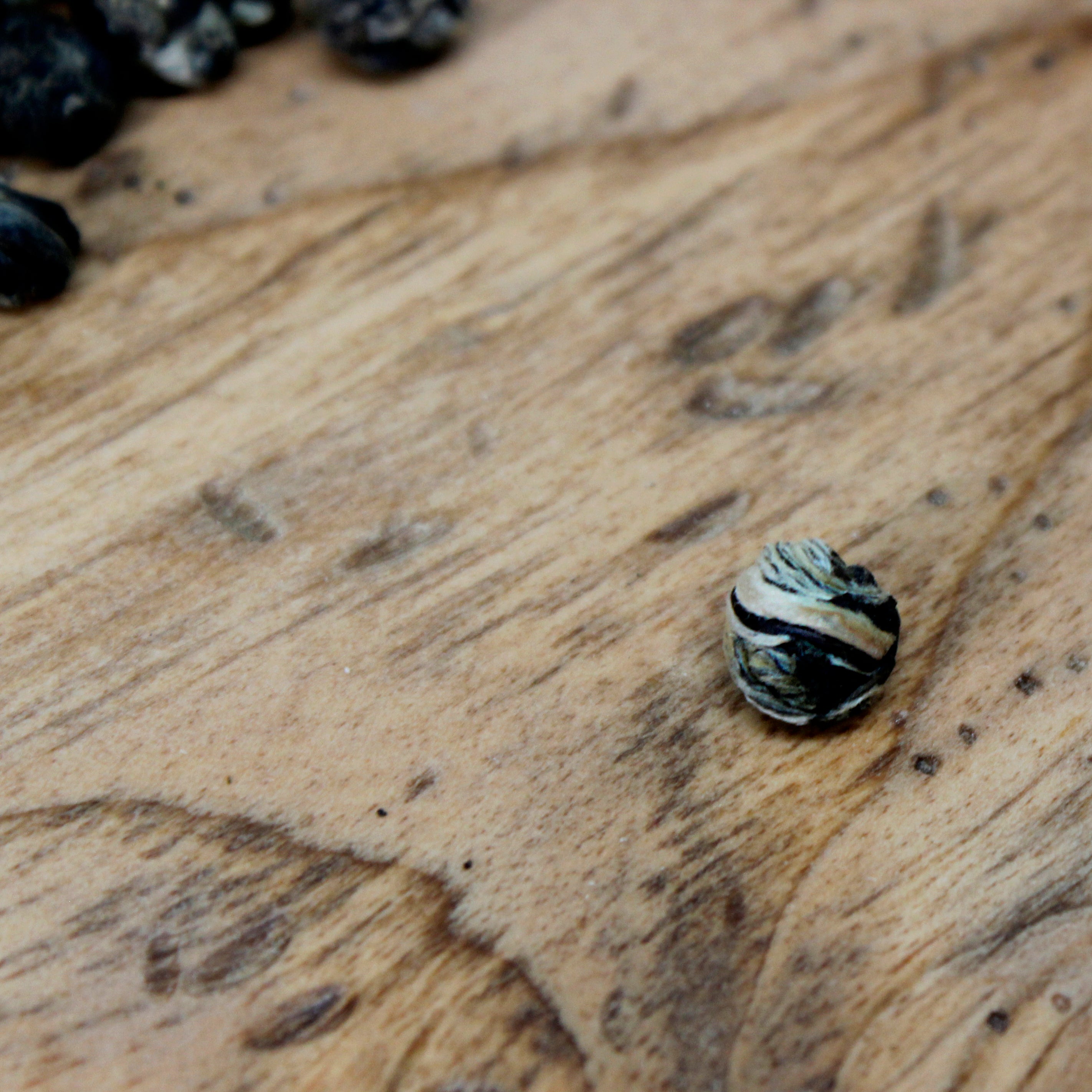 Jasmine Pearls MEM TEA jasmine-pearls-mem-tea