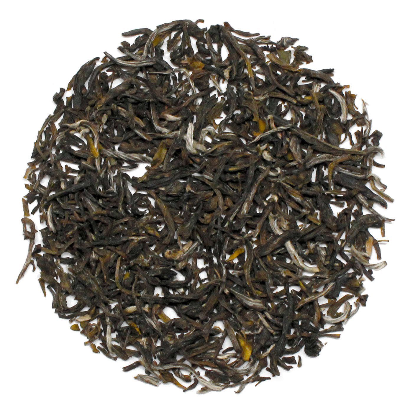 Jasmine: Yin Hao