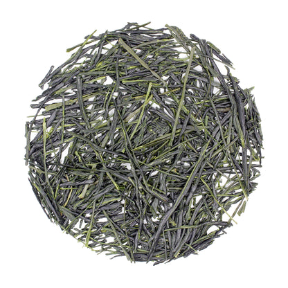 Incorporate Your Brand Colors