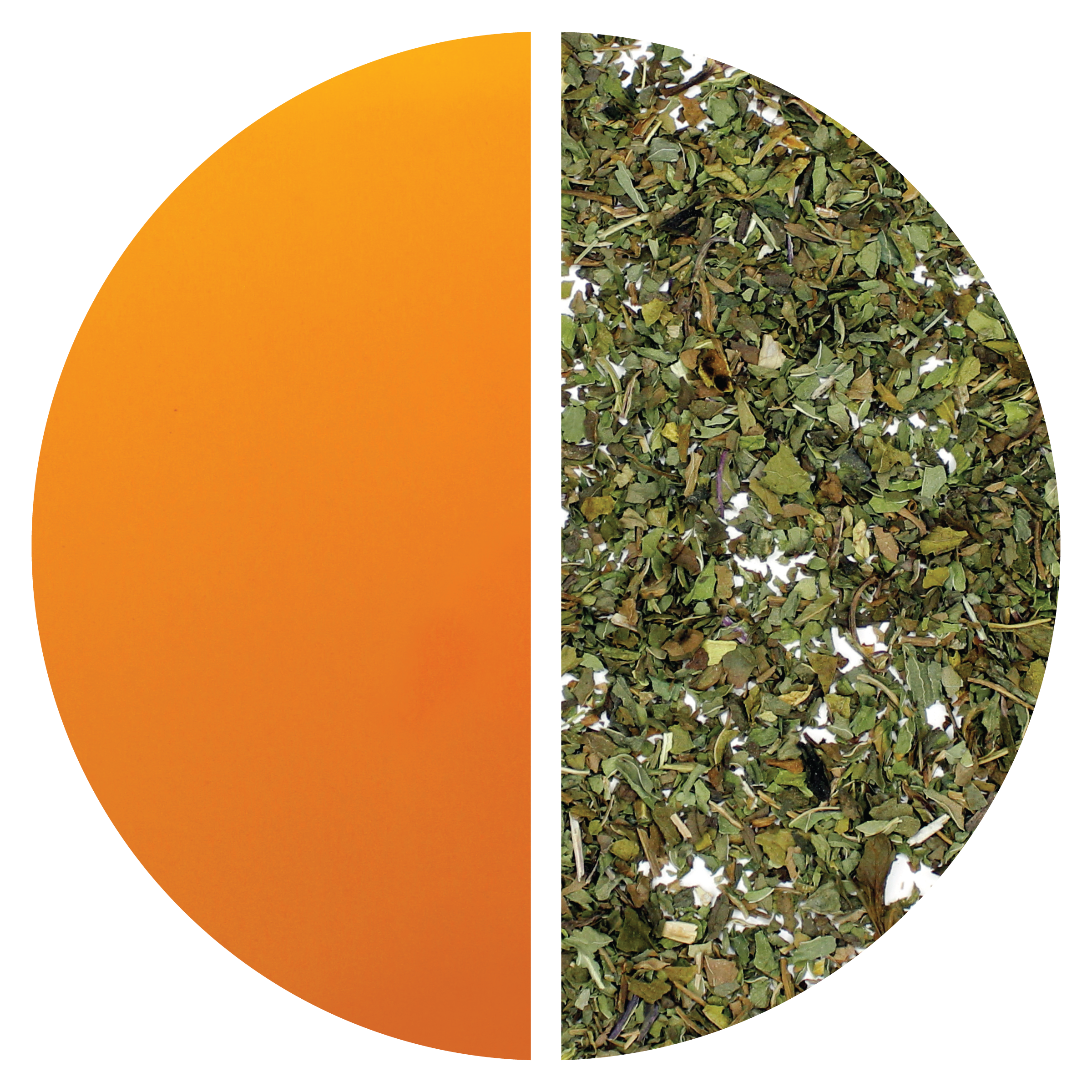 Mediterranean Mint