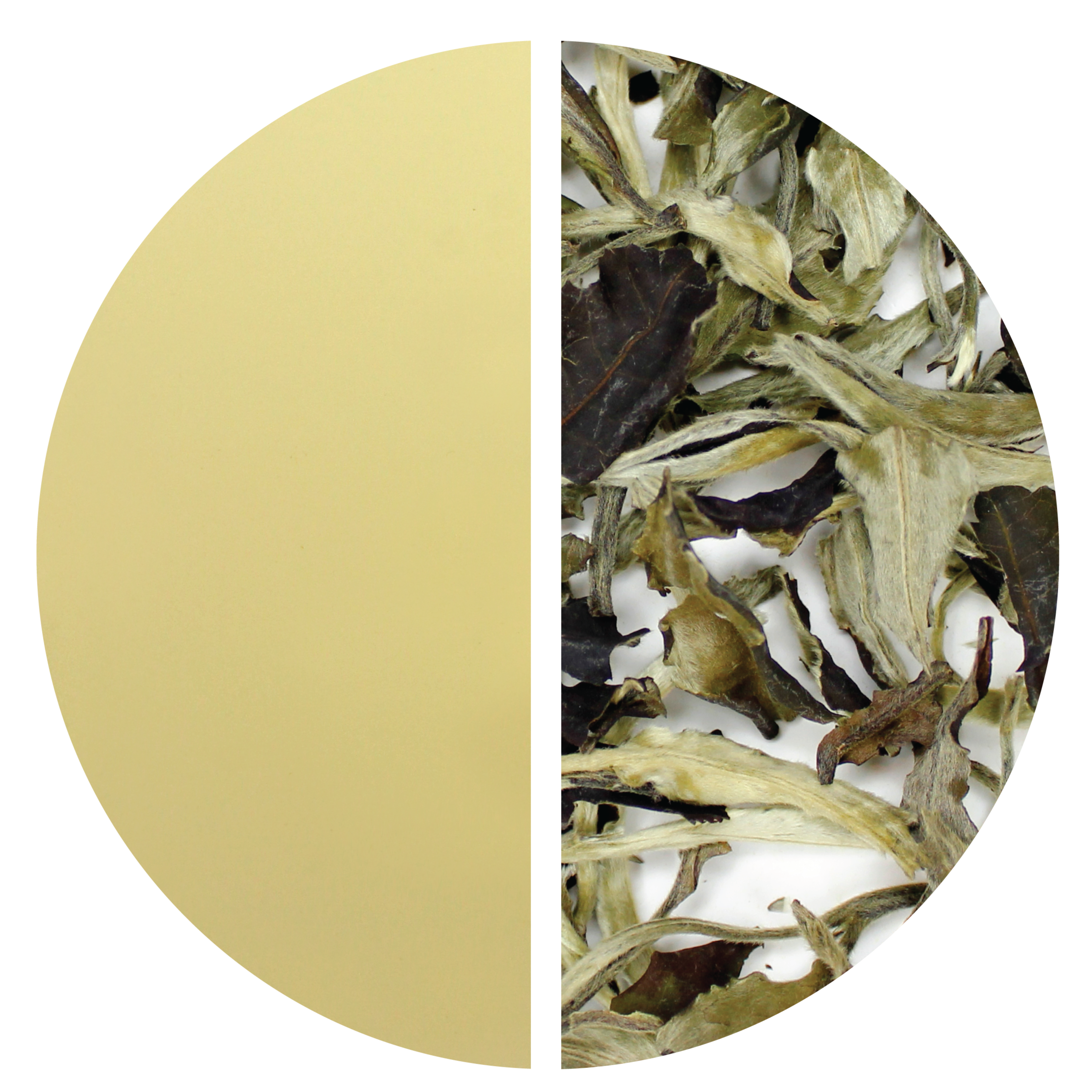 WHITE TEA – MEM TEA