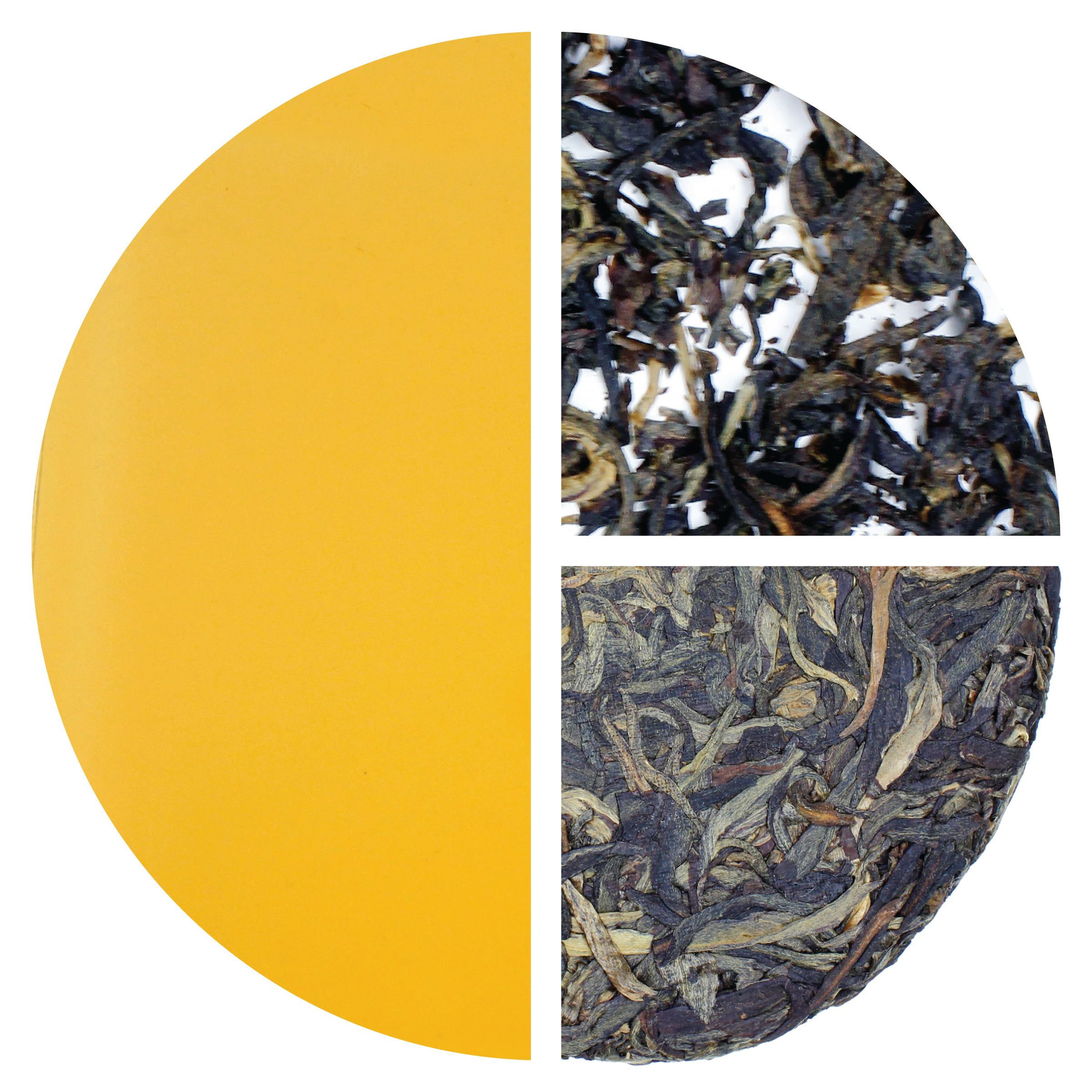 Morning Call: Sheng Pu-Erh Bingcha 2013