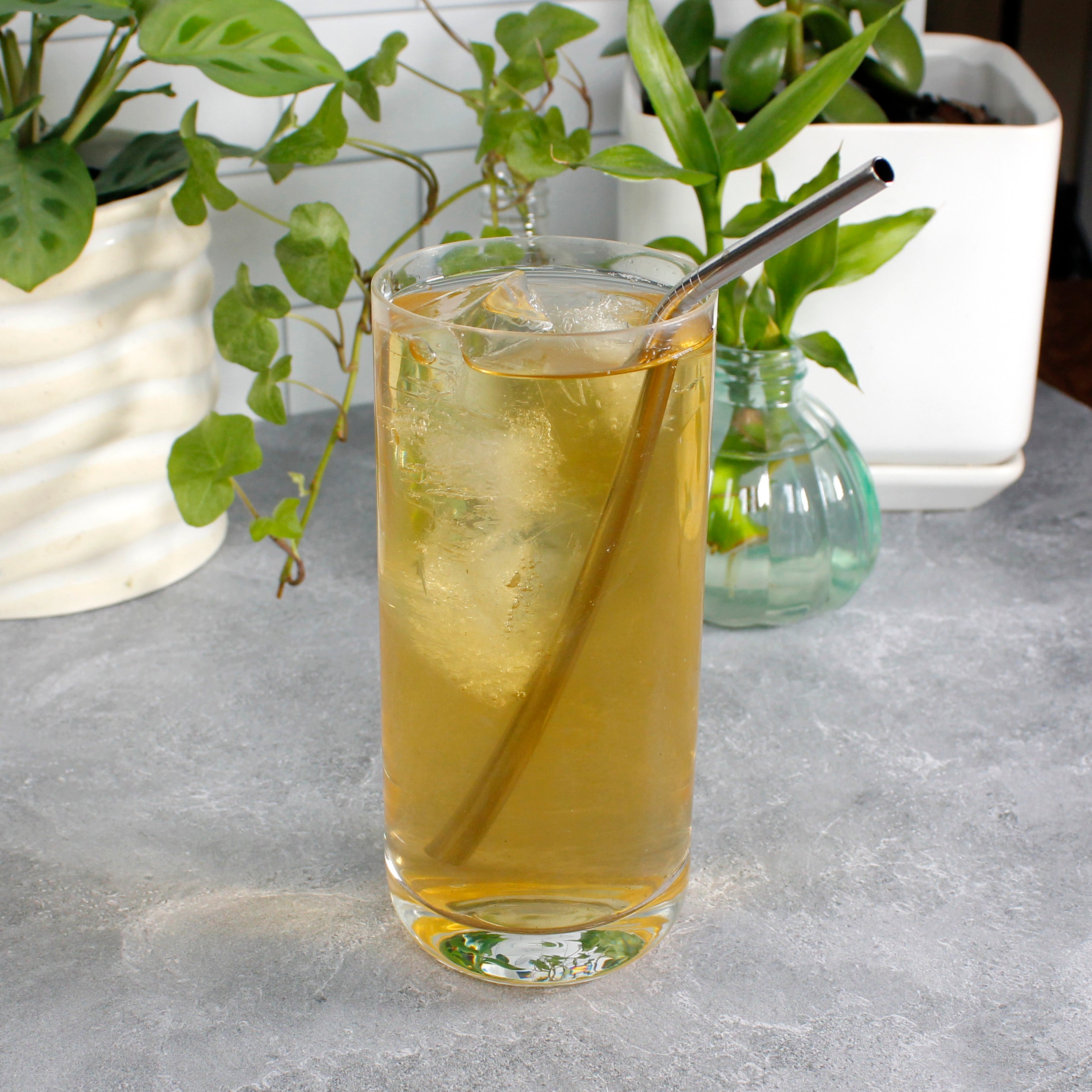 Moroccan Mint - iced