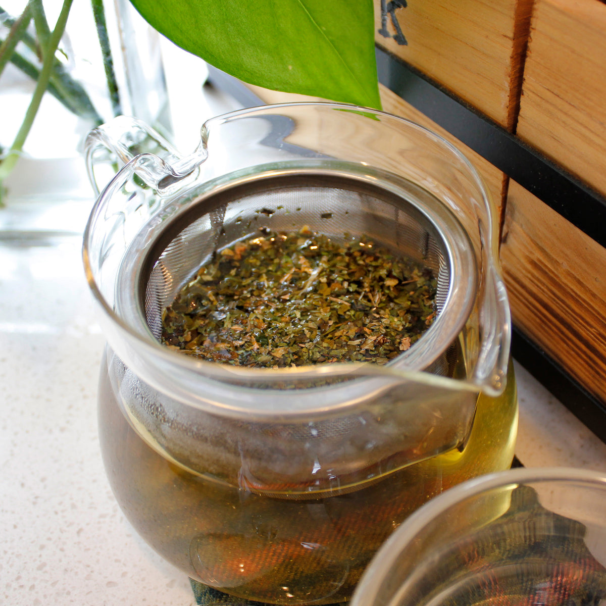 Moroccan Mint