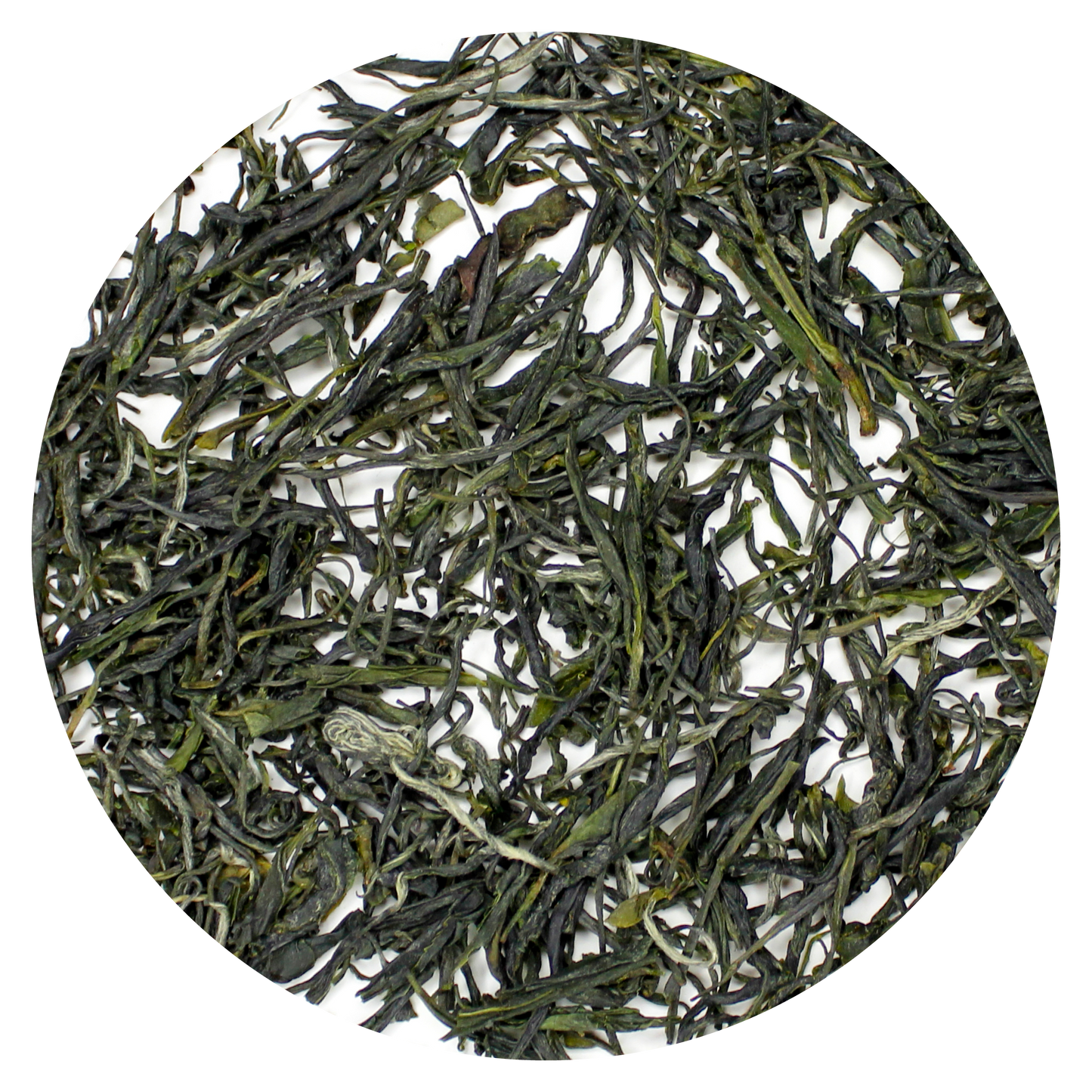 Pine Needle Green