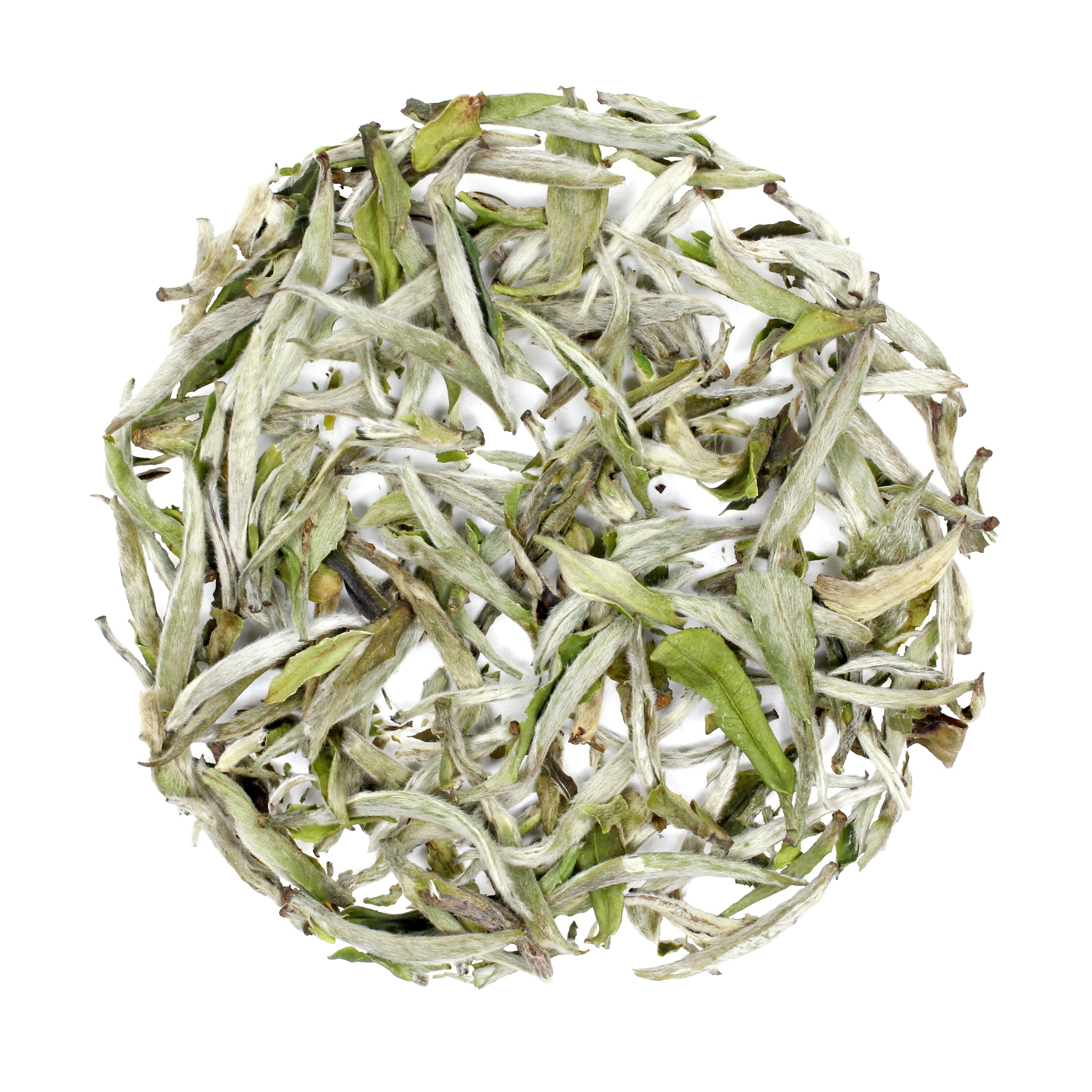Silver Needles Tea Silver Needles: Yin Zhen – MEM TEA
