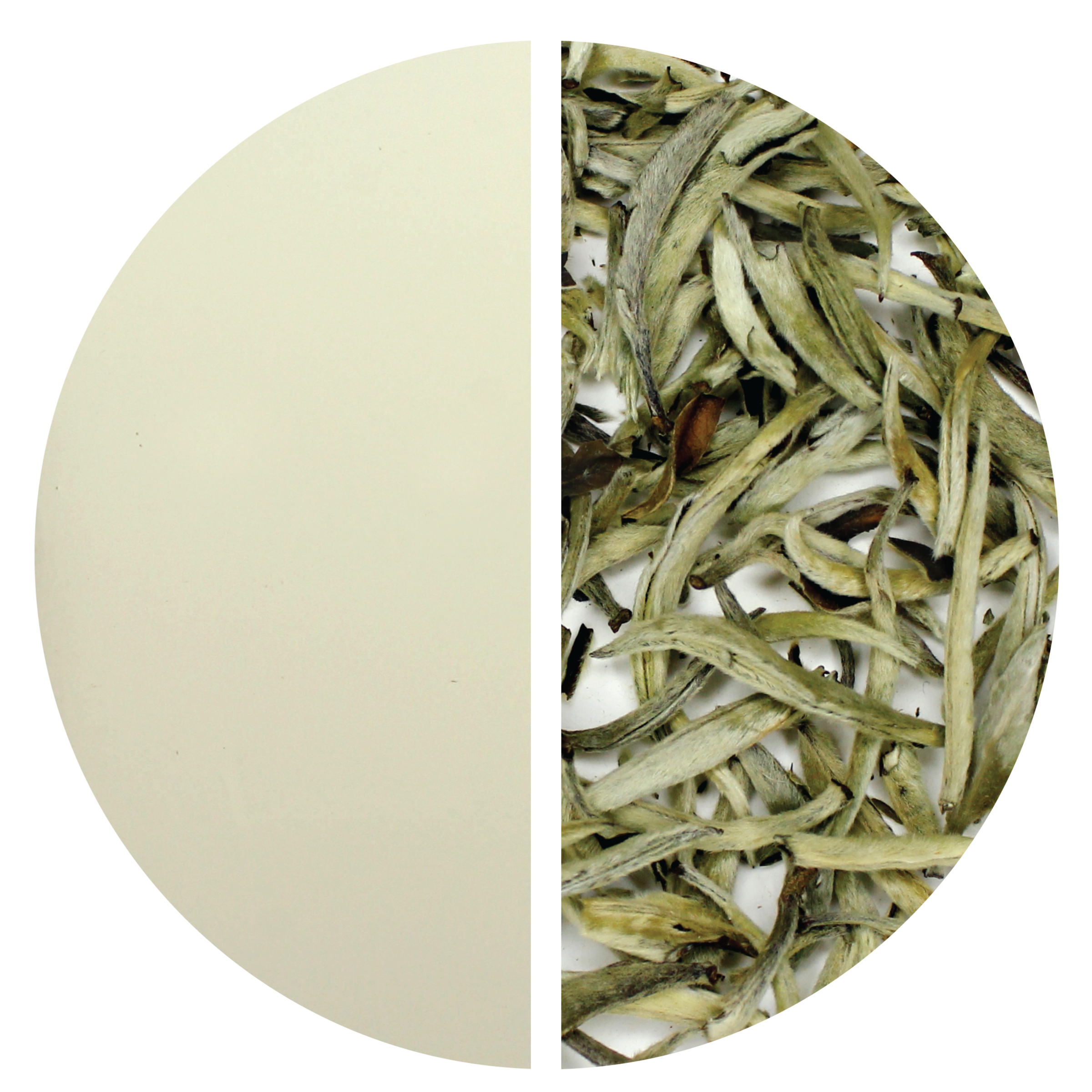 Silver Needles: Yin Zhen