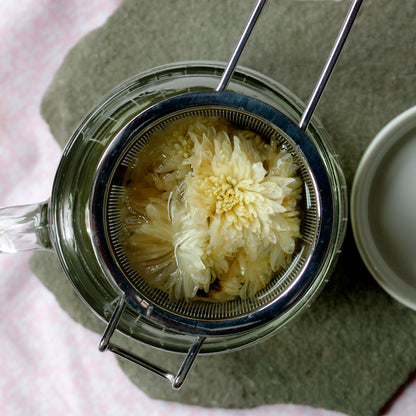 White Chrysanthemum Flowers