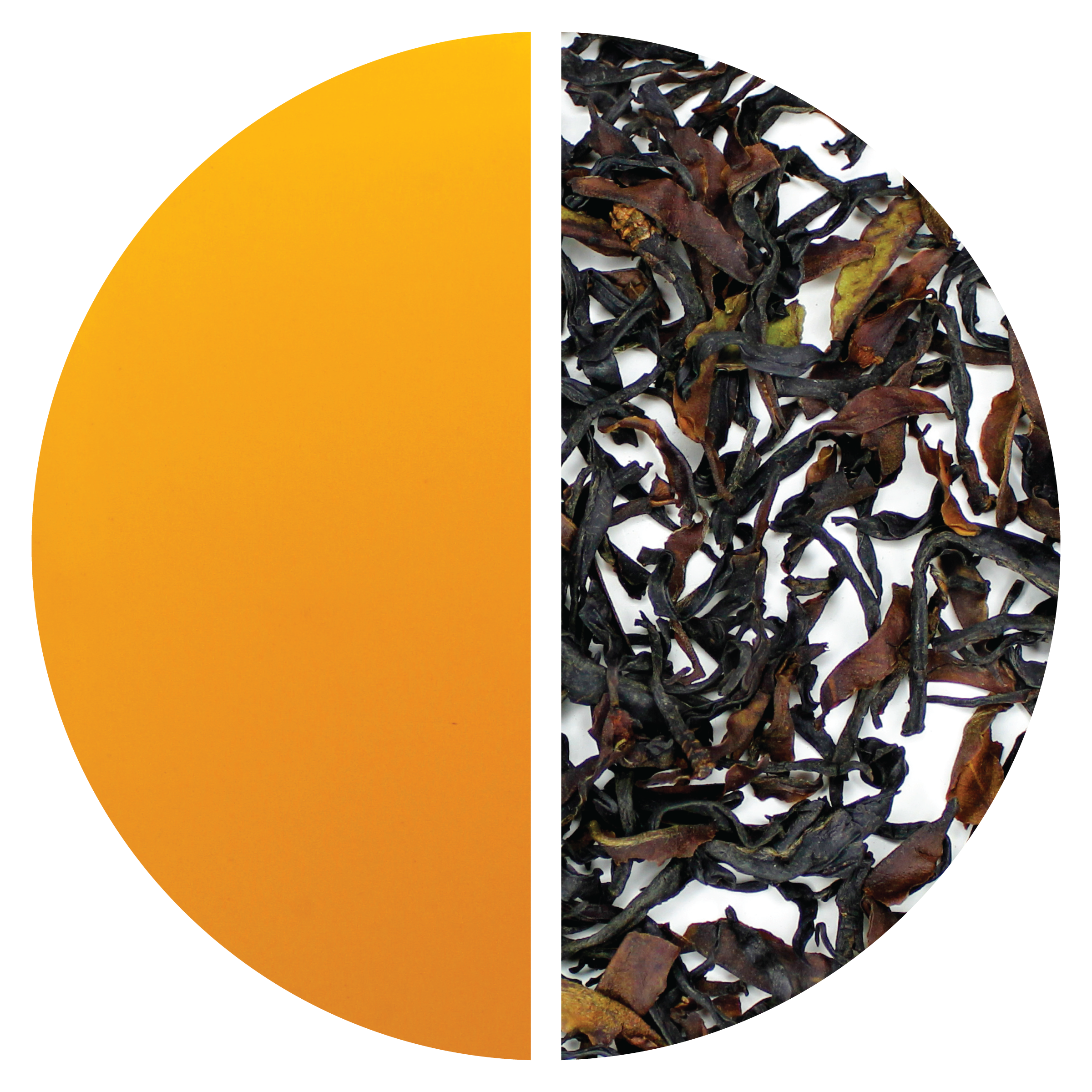 Wild Old Tree – MEM TEA